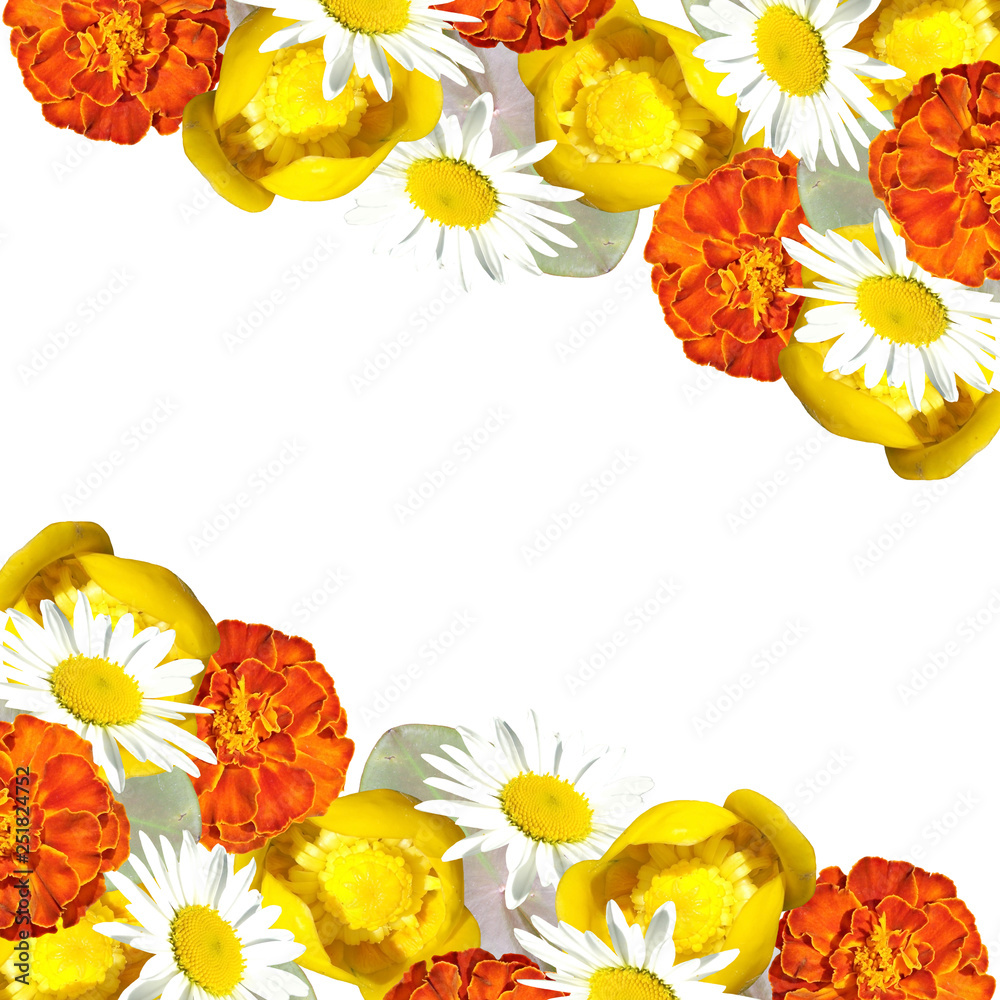 Beautiful floral background of water lilies, daisies and carnations Beautiful floral background of water lilies, daisies and carnations
