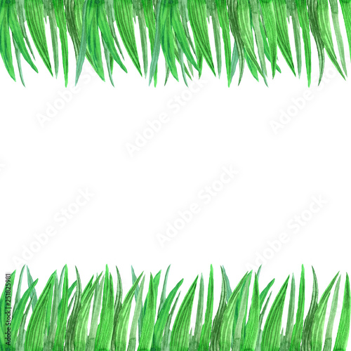 watercolor banner with the image of green grass on the top and bottom of a picture with a white background for the design of cards, postcards and decoration