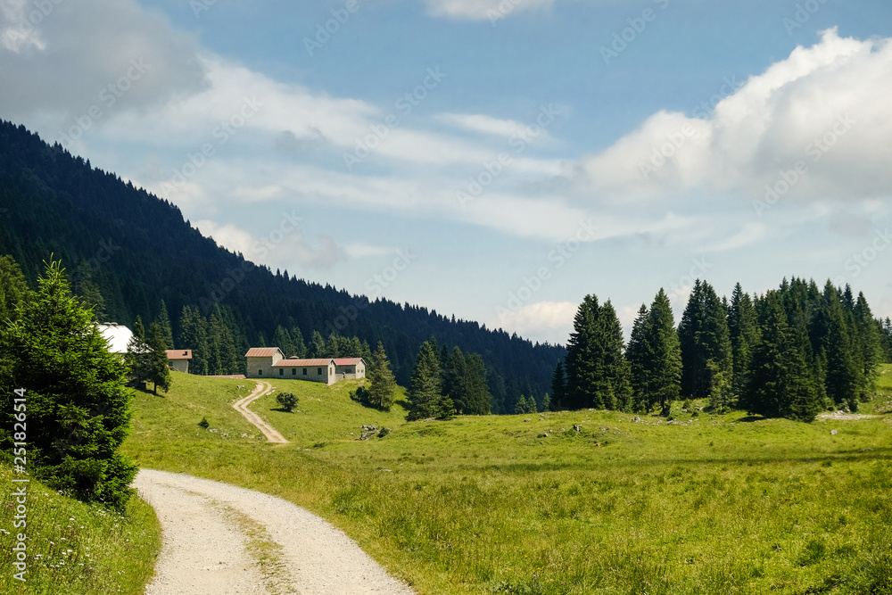 Mountain walkpath trekking, panoraa, ladscape, wallpaper. Passo Coe, Folgaria, Trento, Trentino Alto Adige, Italy. August 2018
