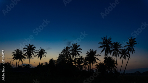 silhouette of coconut trees during sunrise © Muhd Azmi