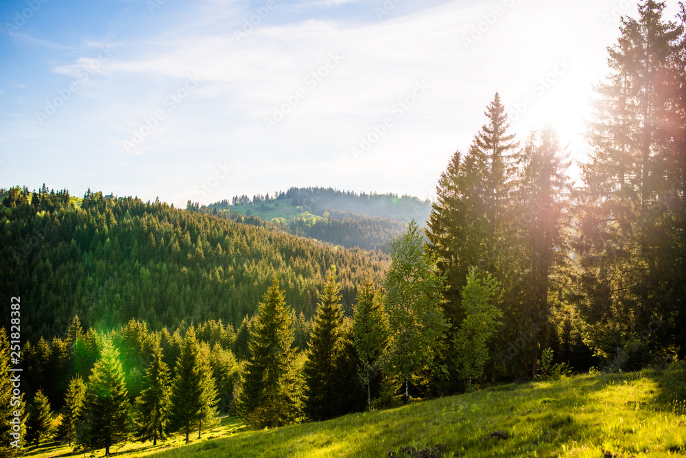 Beautiful view of the Carpathian hills and forests