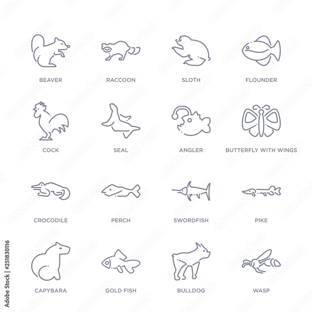 set of 16 thin linear icons such as wasp, bulldog, gold fish, capybara, pike, swordfish, perch from animals collection on white background, outline sign icons or symbols set of 16 thin linear icons such as wasp, bulldog, gold fish, capybara, pike, swordfish, perch from animals collection on white background, outline sign icons or symbols
