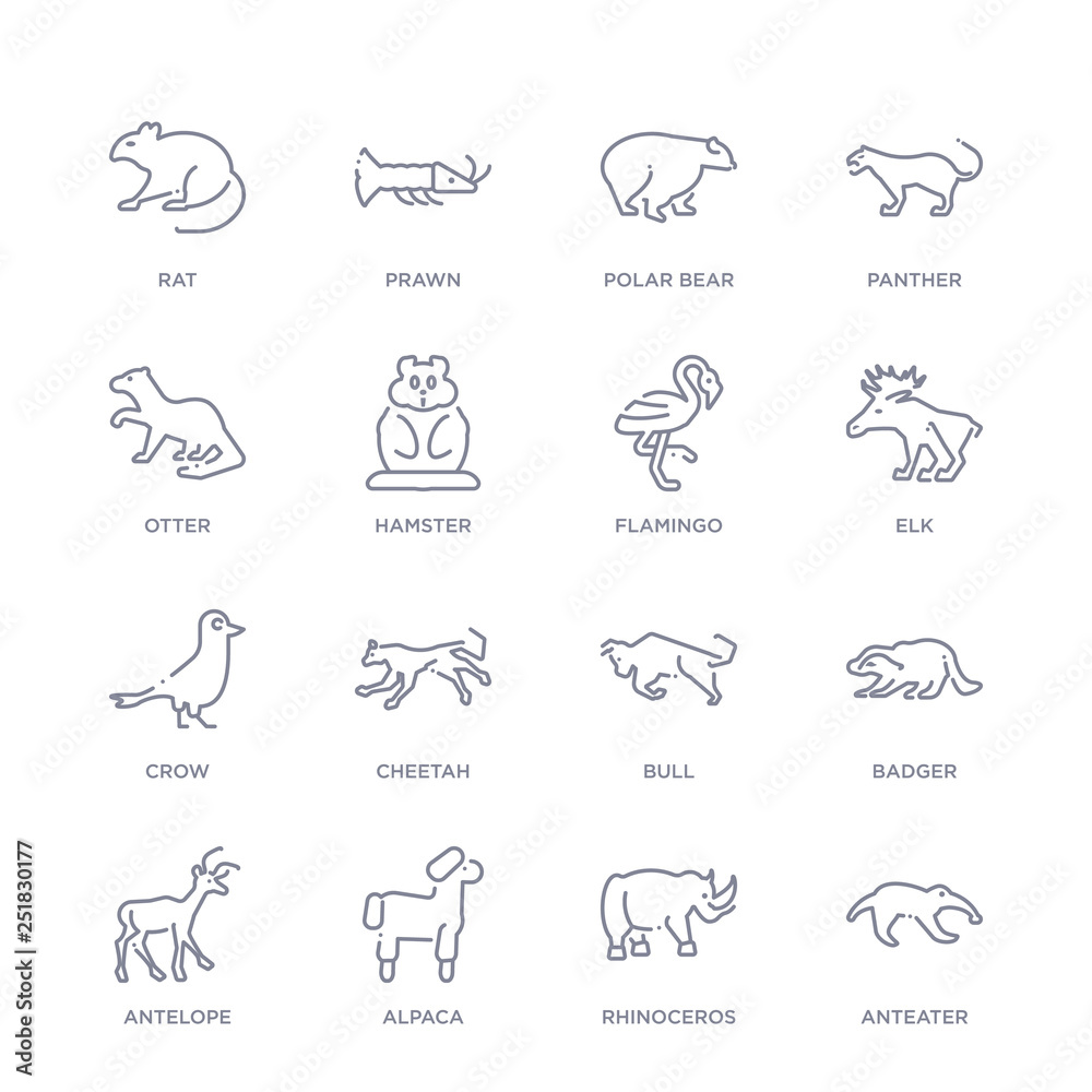 set of 16 thin linear icons such as anteater, rhinoceros, alpaca, antelope, badger, bull, cheetah from animals collection on white background, outline sign icons or symbols set of 16 thin linear icons such as anteater, rhinoceros, alpaca, antelope, badger, bull, cheetah from animals collection on white background, outline sign icons or symbols