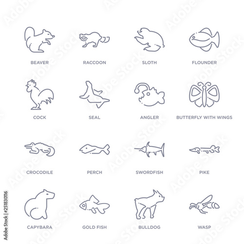 set of 16 thin linear icons such as wasp, bulldog, gold fish, capybara, pike, swordfish, perch from animals collection on white background, outline sign icons or symbols