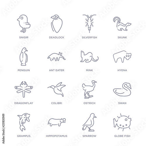 set of 16 thin linear icons such as globe fish, sparrow, hippopotamus, grampus, swan, ostrich, colibri from animals collection on white background, outline sign icons or symbols