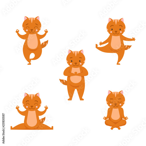 Collection cartoon funny ginger cat practicing yoga position.