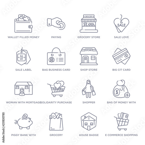 set of 16 thin linear icons such as e commerce shopping cart tool, house badge, grocery, piggy bank with coin, bag of money with dollar, shopper, solidarity purchase from commerce collection on