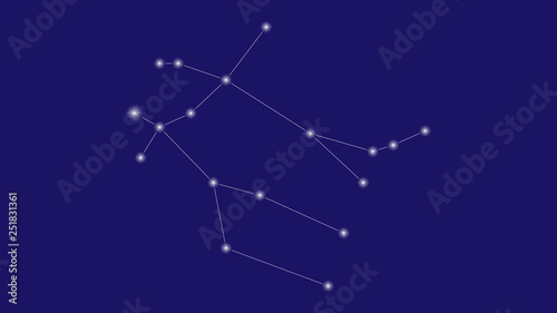 Gemeni constellation vector design