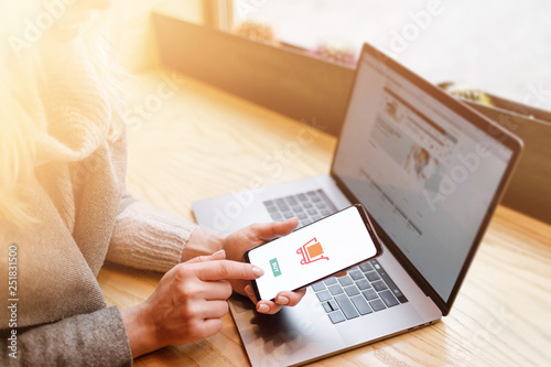 Girl doing e-shopping. Online payment, Hands holding smartphone.