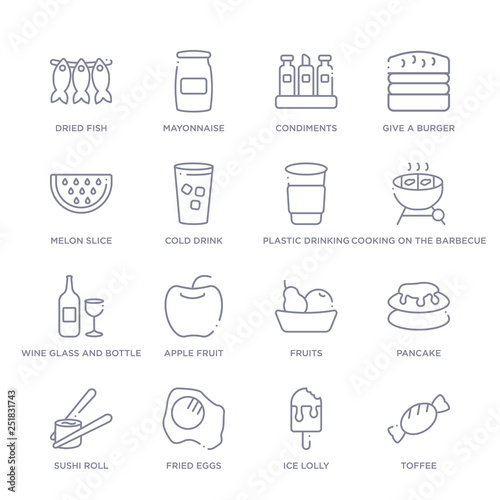 set of 16 thin linear icons such as toffee, ice lolly, fried eggs, sushi roll, pancake, fruits, apple fruit from food collection on white background, outline sign icons or symbols