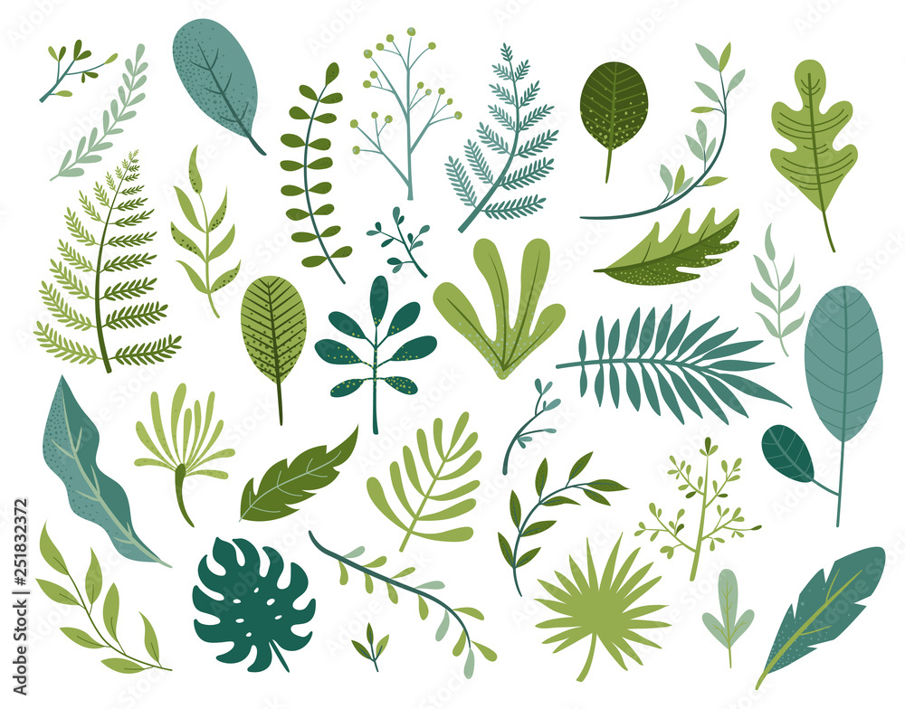 Set of different tropical and other isolated green leaves. Palm, banana leaf, hibiscus, plumeria, split leaf, philodendron. Jungle collection for your design.Vector illustration. - obrazy, fototapety, plakaty 