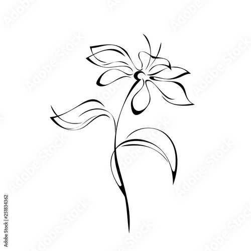 stylized flower on stem with leaves in black lines on white background
