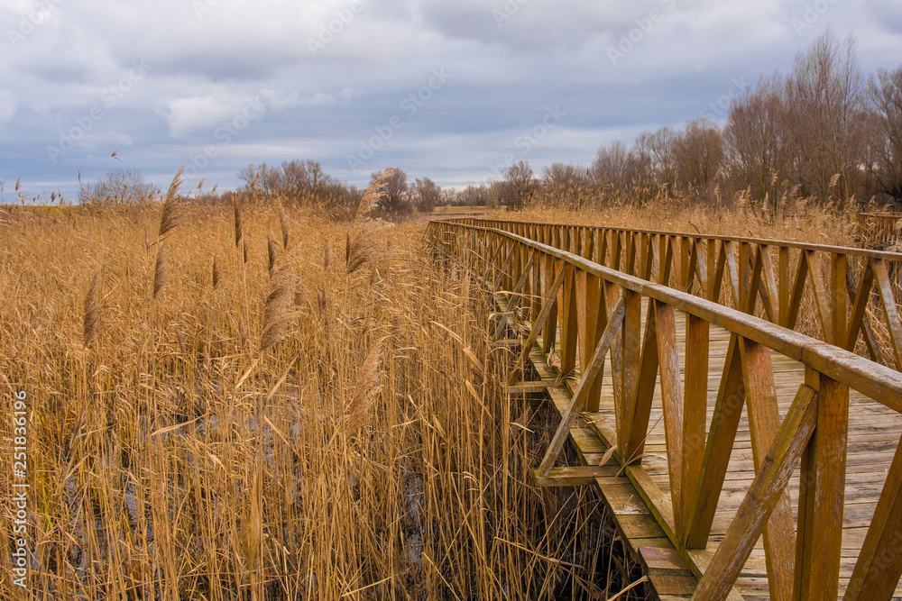 Fototapeta premium A wooden walkway in the Kopacki Rit Nature Reserve in winter in north east Croatia. Located by the Serbian border, close to the confluence of the Drava and Danube rivers, it is one of the largest and