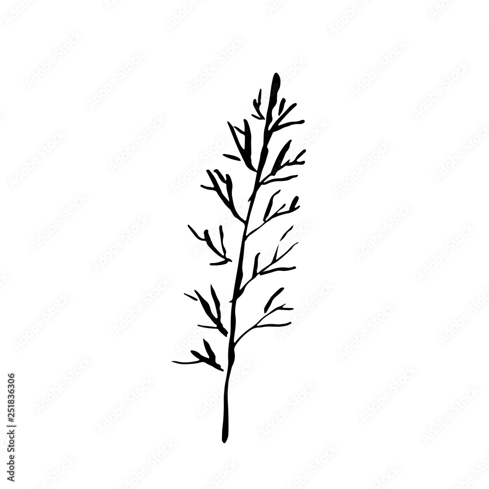 Fototapeta premium Sylwetka drzewa. Ręcznie rysowane ilustracji wektorowych.