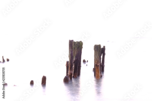 wood with white background