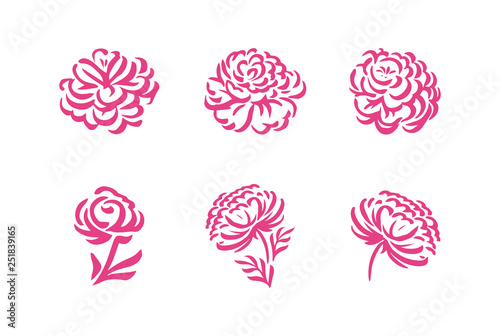 Vector silhouettes of hand drawn peony flowers isolated on white background illustration