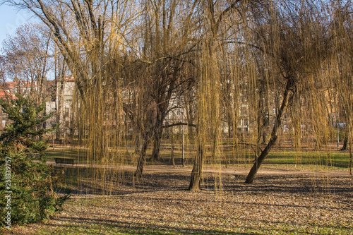 Winter in Ribnjak Park next to the cathedral in Zagreb, Croatia photo