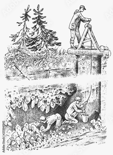 Miners work with axes underground. Industry Extraction of minerals, crystals and gems. Professional men in a cave. Background of mine. Engraved hand drawn sketch.
