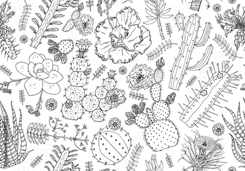 Cactus Seamless pattern and flowers. Cozy cute elements. Collection of tropical succulents and plants in vintage doodle style. Engraved hand drawn background for wall texture, banner, web site, cards.