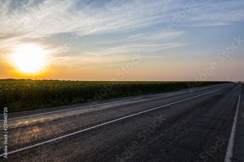 field of sunflowers, in the rays of a magnificent sunset and the road going into the distance