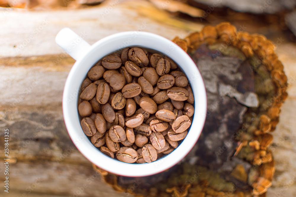 Fototapeta premium Coffee grains in a white cup in the forest.