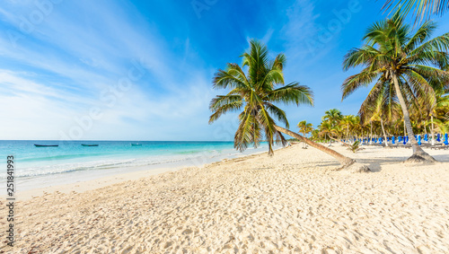 Fototapeta Naklejka Na Ścianę i Meble -  Paradise Beach (also known for Playa Paraiso) at sunny summer day - beautiful and tropical caribbean coast at Tulum in Quintana Roo, Riviera Maya, Cancun,  Mexico