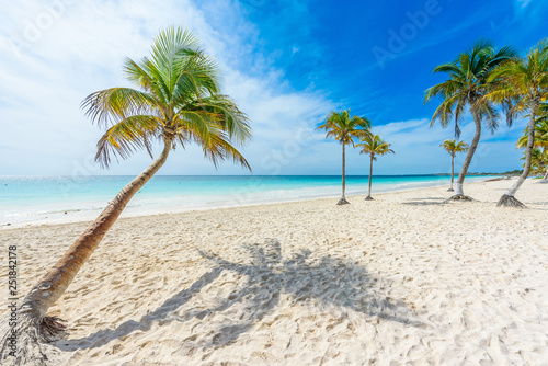 Fototapeta Naklejka Na Ścianę i Meble -  Paradise Beach (also known for Playa Paraiso) at sunny summer day - beautiful and tropical caribbean coast at Tulum in Quintana Roo, Riviera Maya, Cancun,  Mexico