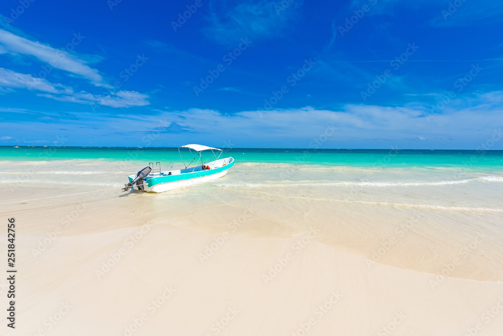 Obraz premium Paradise Beach (also known for Playa Paraiso) at sunny summer day - beautiful and tropical caribbean coast at Tulum in Quintana Roo, Riviera Maya, Cancun, Mexico