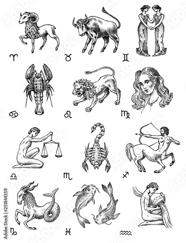 Zodiac icons. Astrology horoscope with signs. Calendar template. Collection outline animals. Vintage style. Libra Scorpio Sagittarius Capricorn Aquarius Pisces. Aries Taurus Gemini Cancer Leo Virgo.