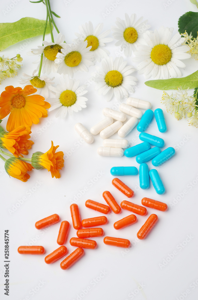 Medical capsules and medicinal flowers on white Medical capsules and medicinal flowers on white