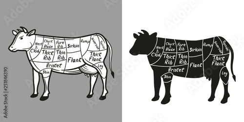 British cuts of beef diagram. Beef cutting scheme lettering. Vector illustration.