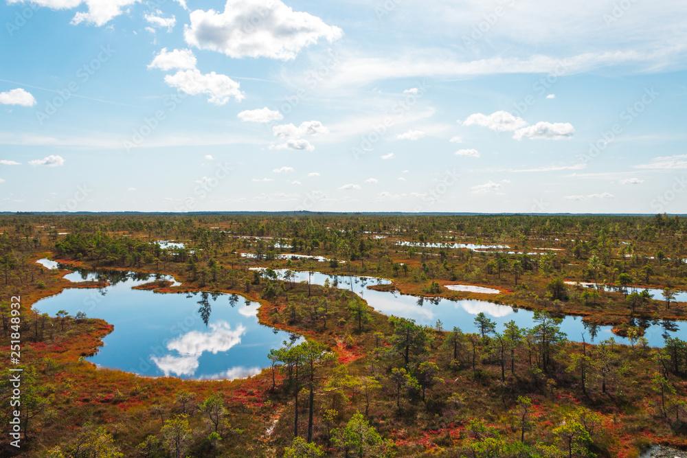 Aerial view of swamp / bog in Kemeri National park with blue reflection lakes, wooden path, green trees and blue sky (Riga area, Latvia, Europe)