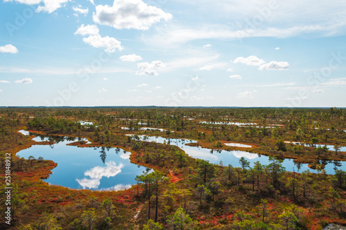 Aerial view of swamp / bog in Kemeri National park with blue reflection lakes, wooden path, green trees and blue sky (Riga area, Latvia, Europe)