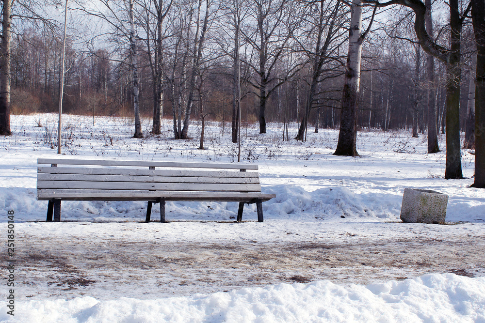 Wooden bench in winter in a snowy park