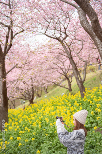 Photography Attractive woman is enjoying  with  Cherry Blossom in Matsuda , Japan