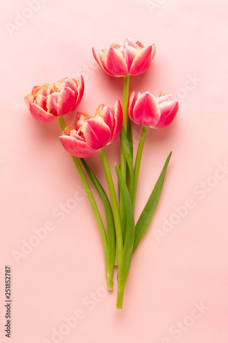 Spring flowers tulips on pastel colors background. Retro vintage style.