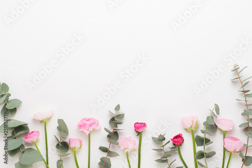 Beautiful colored ranunculus flowers on a white background.Spring greeting card.
