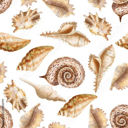Seamless pattern with seashells on white background