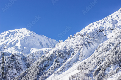 paysage de montagne