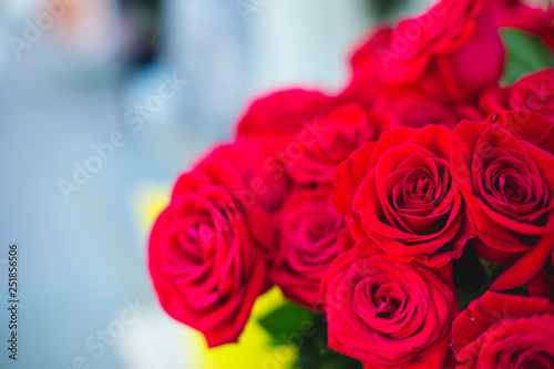 A bouquet of fresh red roses close up