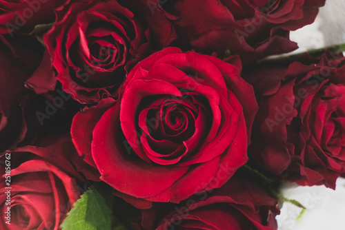 Red roses Valentine love