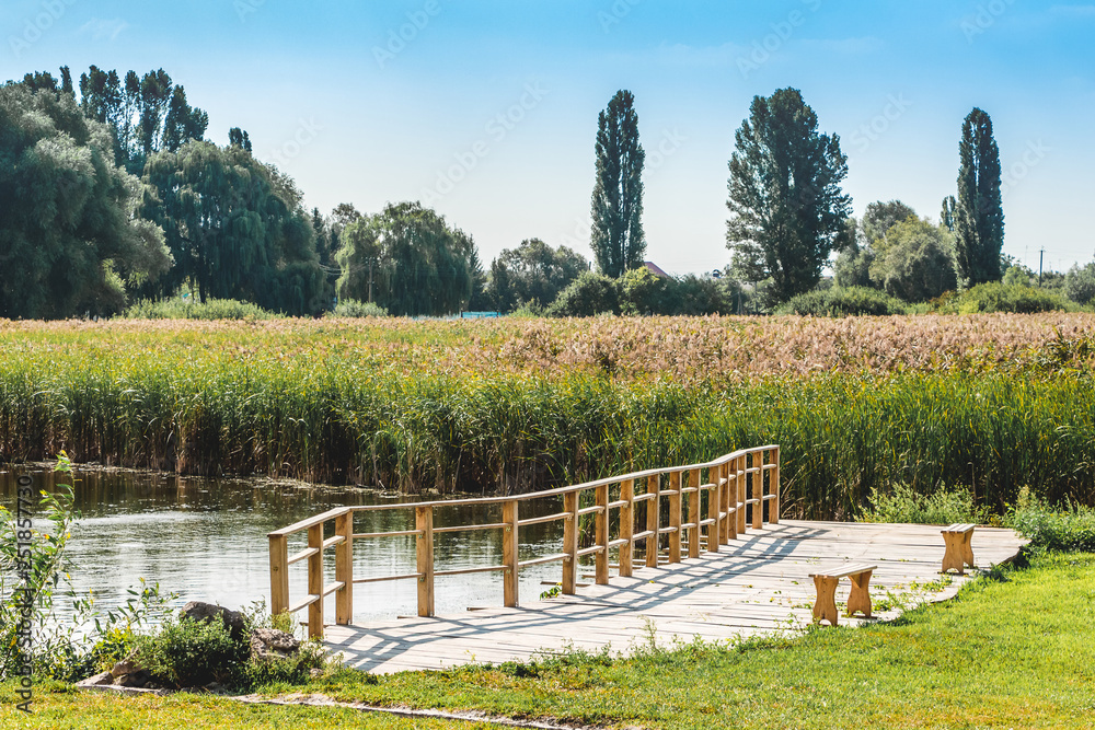 Summer landscape with a river, trees and a wooden bridge across the river. Recreation area_