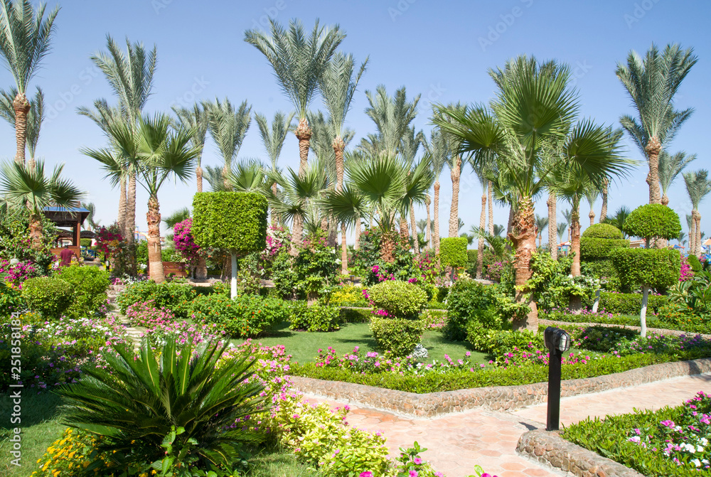 Garden Landscaping Design with trees, shrubs and flowers in Egypt