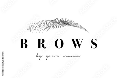 Slika na platnu Beautiful vector hand drawing eyebrows for the logo of the master on the eyebrows