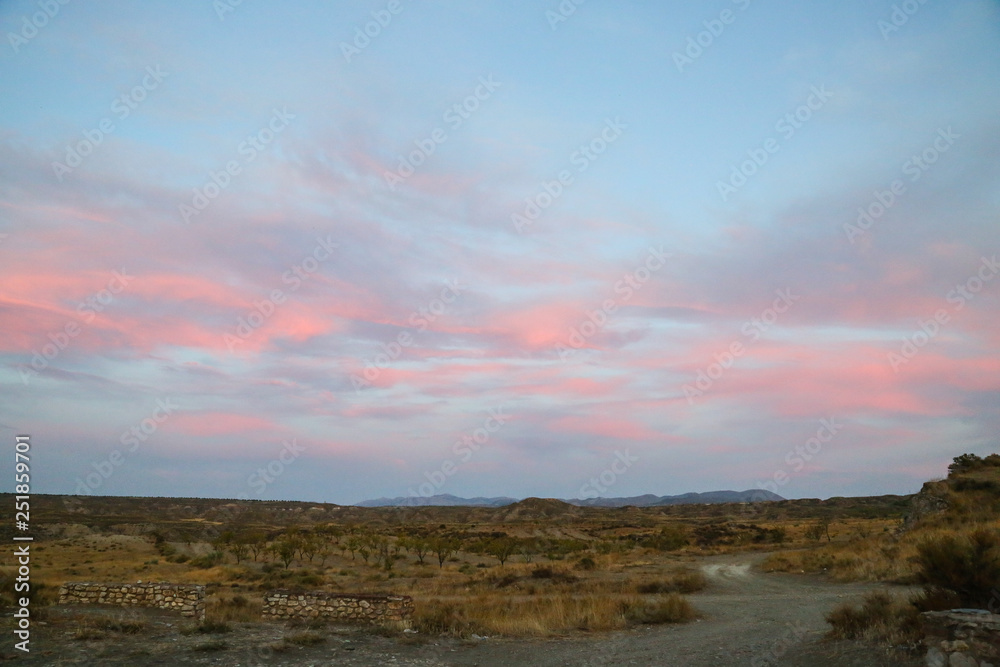 sunrise over the steppe grassland with red purple clouds