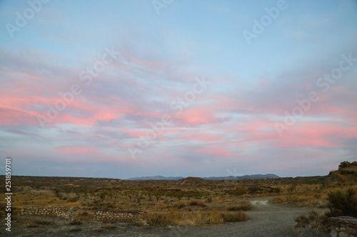 sunrise over the steppe grassland with red purple clouds