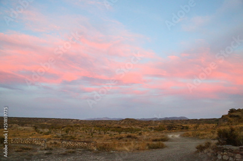 purple sky over steppe grassland