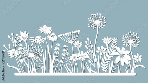 Echinacea, chamomile, schefler, noble hepatica, zephyrantes, stokesia. Vector illustration. Set of paper flower, stickers. Laser cut. Set template for laser cutting and Plotter. Vector illustration. S