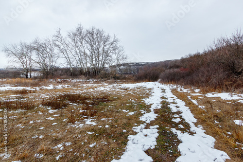 The winter cold landscape with the ground road in the grassland leading to the trees at the distance