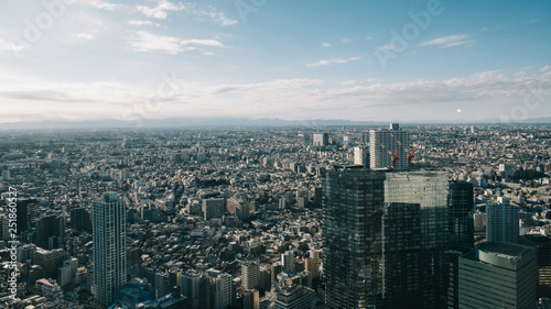 Tokyo Metropolitan Government Building (Tocho)